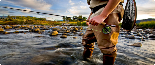 Contenidos sobre caza y pesca incluidos en los canales Iberalia