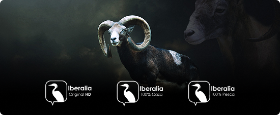 Todo sobre la caza y la pesca en Iberalia